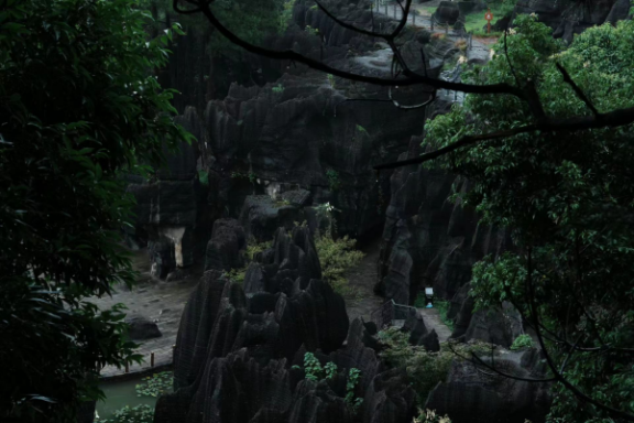 說(shuō)明: IMG_258