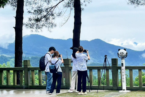 說(shuō)明: IMG_267