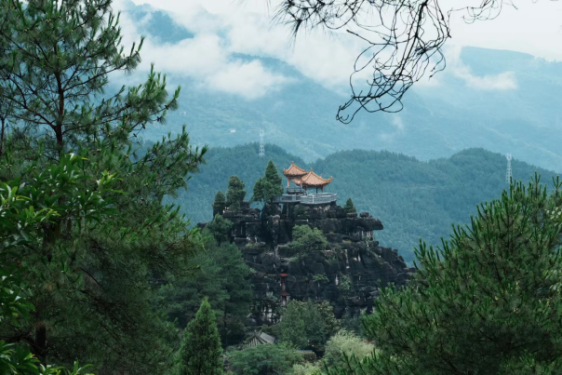 說(shuō)明: IMG_259