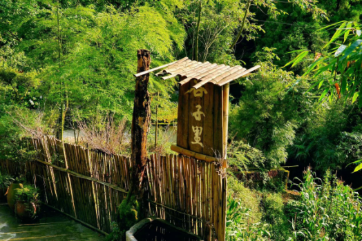 說(shuō)明: IMG_262